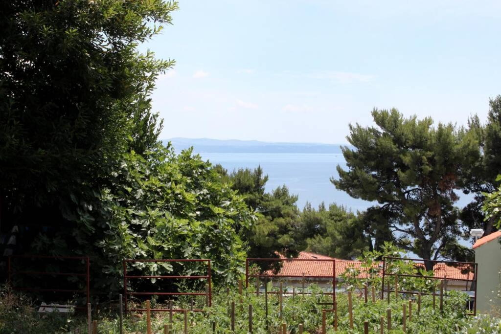 Apartman Buki **** Split Exterior photo